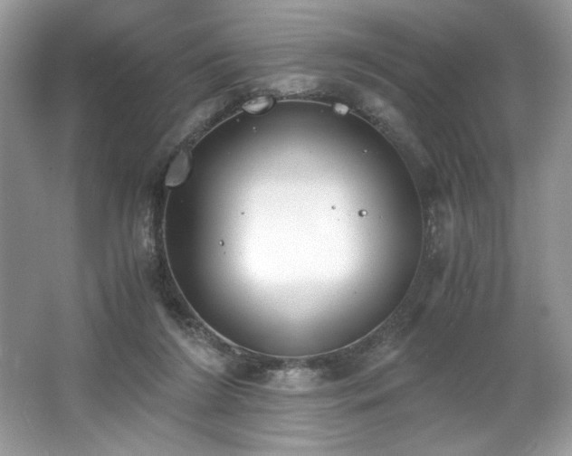 X0000062670212200512211344