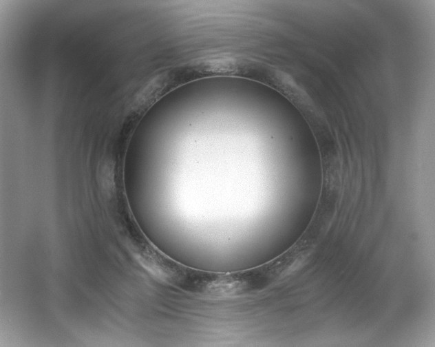 X0000062670213200512211344