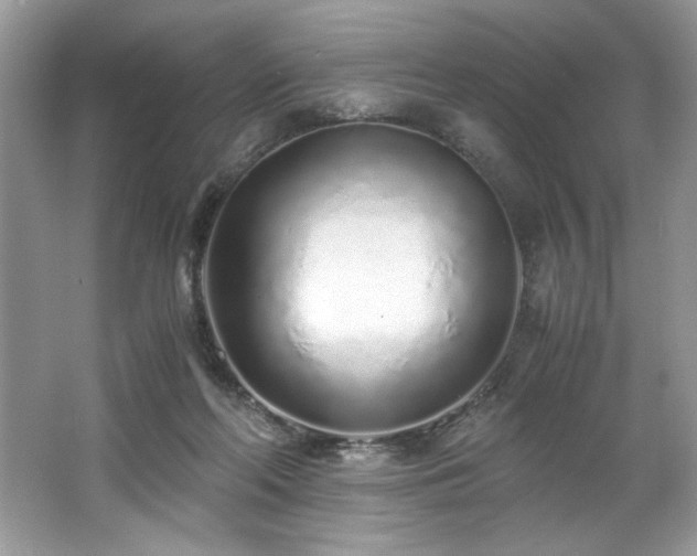 X0000062670214200512211344