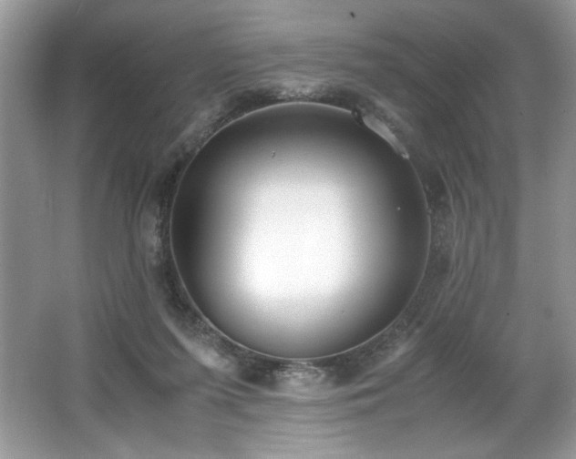 X0000062670215200512211344