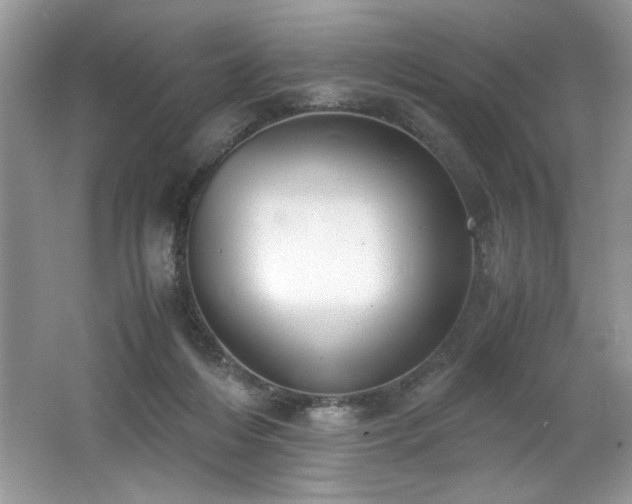 X0000062670216200512211344