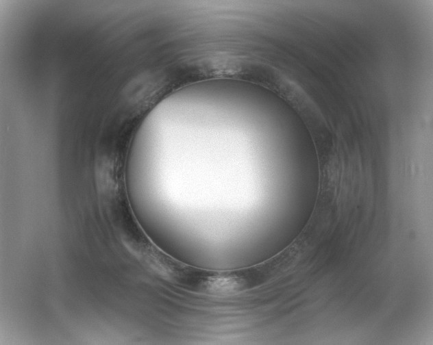 X0000062670218200512211344