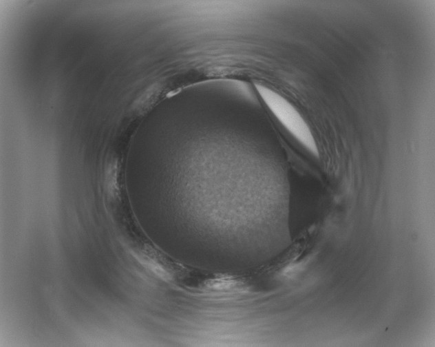 X0000062670219200512211344