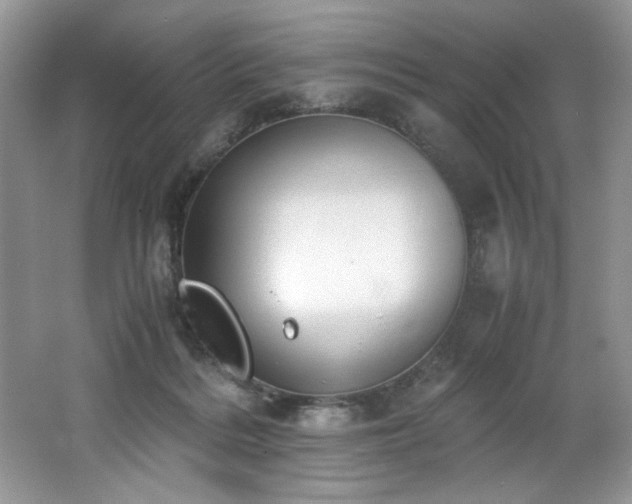 X0000062670220200512211344