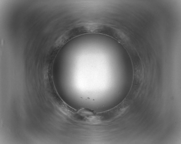 X0000062670221200512211344