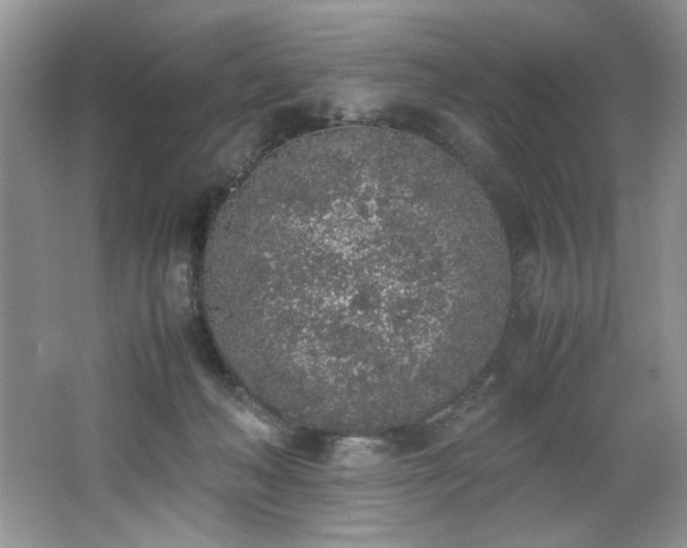 X0000062670222200512211344