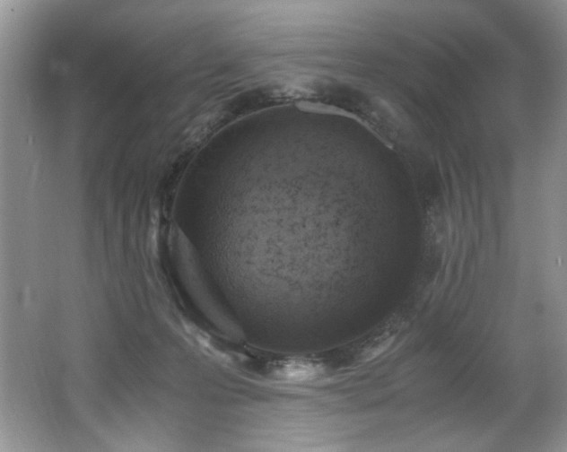 X0000062670223200512211344