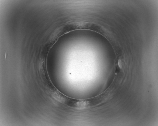 X0000062670225200512211344