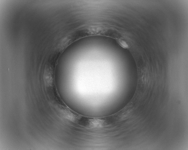 X0000062670226200512211344