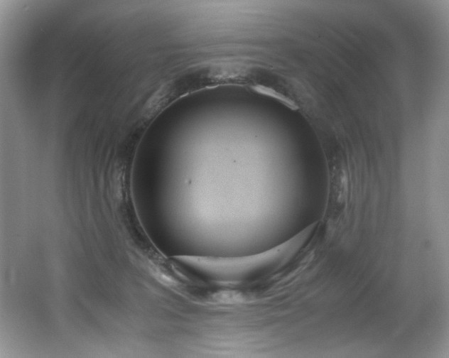 X0000062670227200512211344