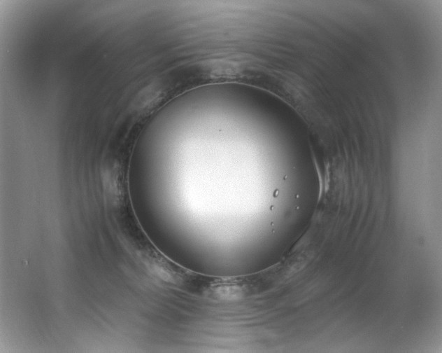 X0000062670228200512211344