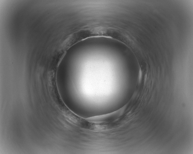 X0000062670229200512211343