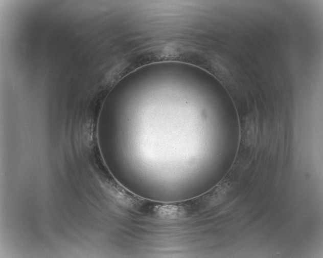 X0000062670230200512211343