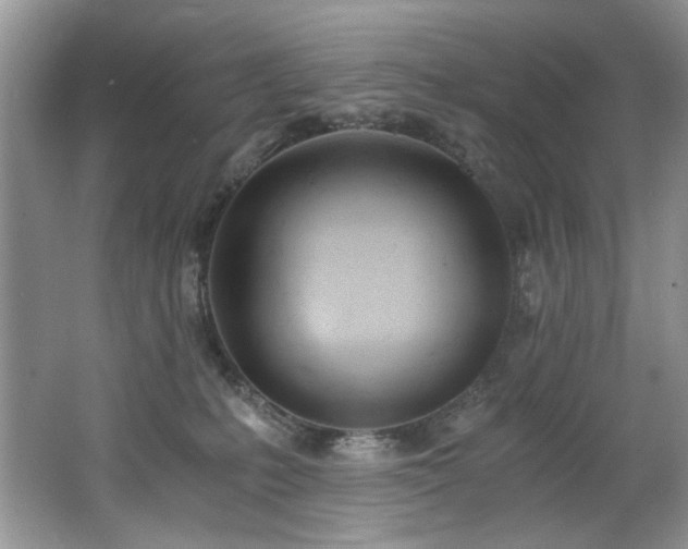 X0000062670231200512211343