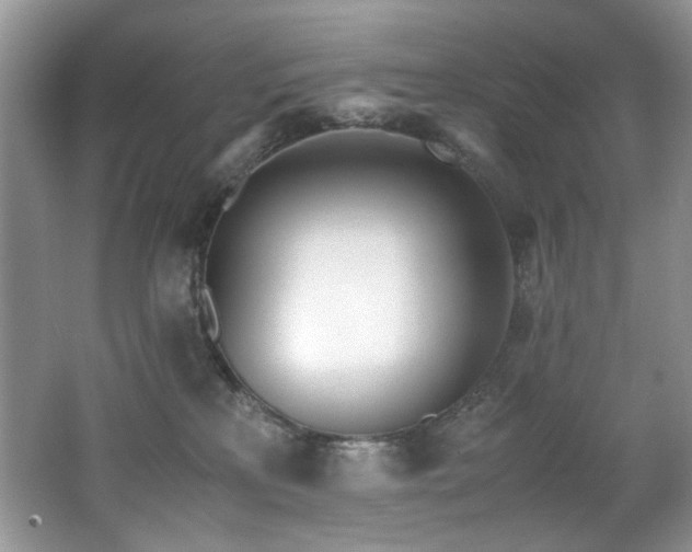 X0000062670233200512211343