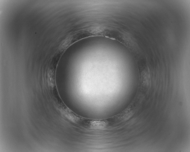 X0000062670234200512211343