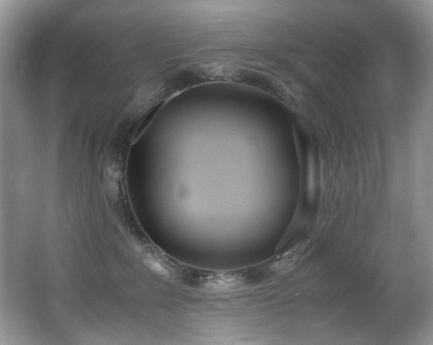 X0000062670235200512211343