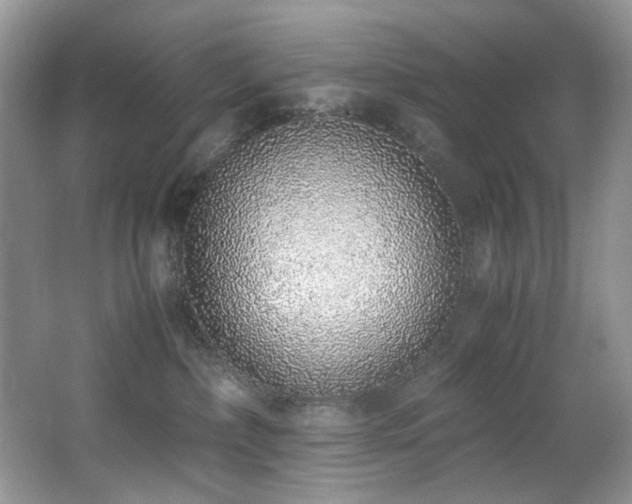 X0000062670236200512211343