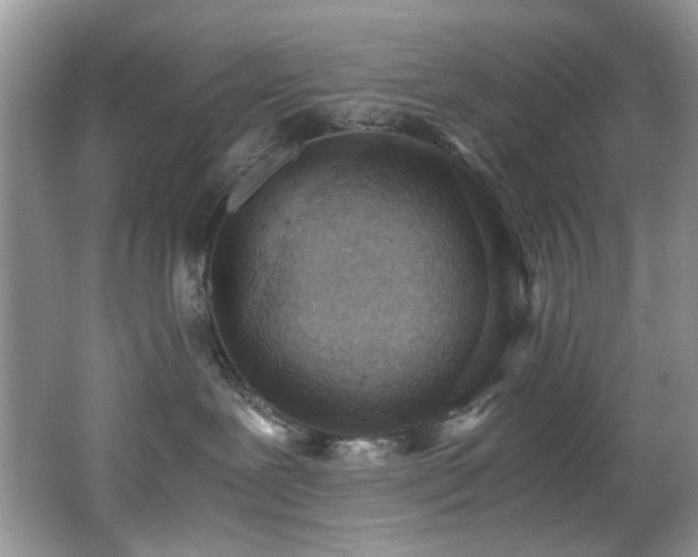 X0000062670239200512211343