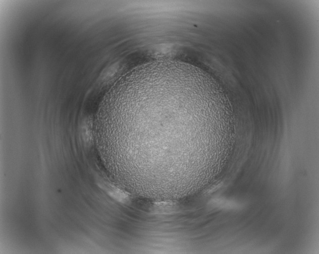 X0000062670240200512211343