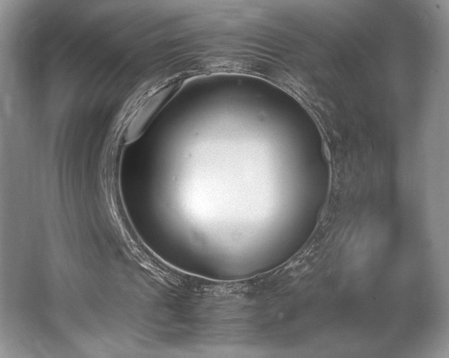 X0000062670241200512211342