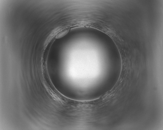 X0000062670242200512211342