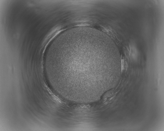 X0000062670243200512211342