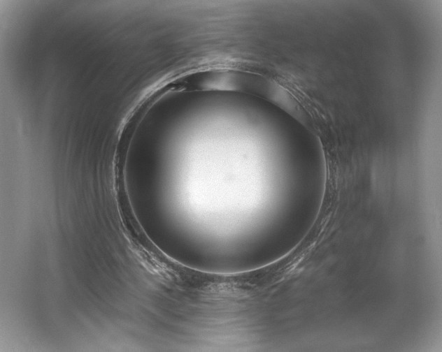 X0000062670244200512211343