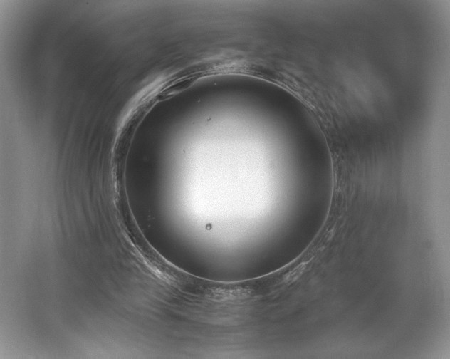 X0000062670245200512211343