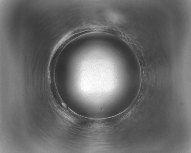 X0000062670246200512211343