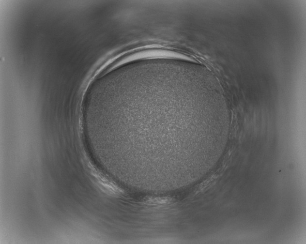 X0000062670247200512211343