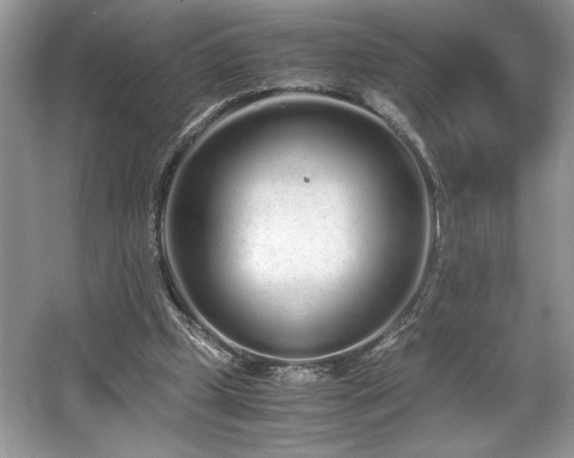 X0000062670249200512211343