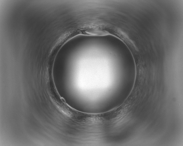 X0000062670250200512211343