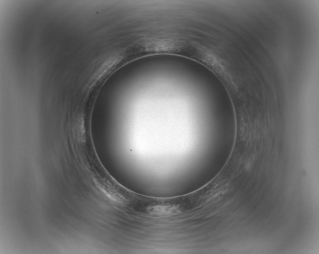 X0000062670251200512211343