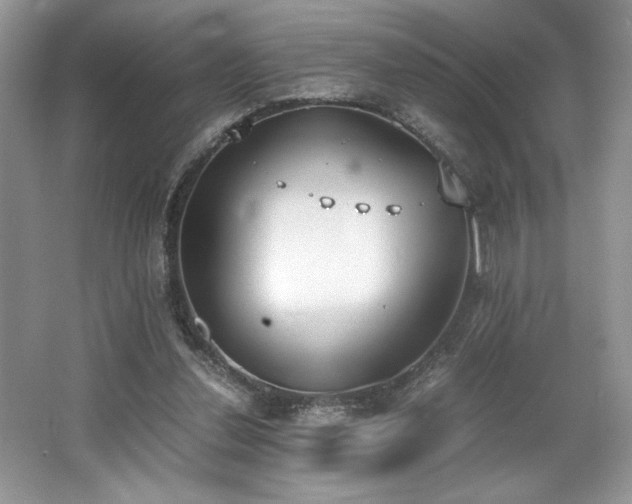 X0000062670252200512211343