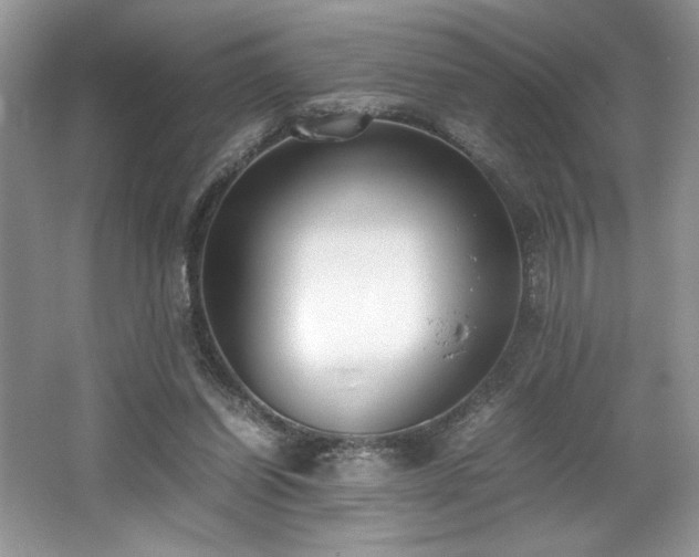 X0000062670254200512211343