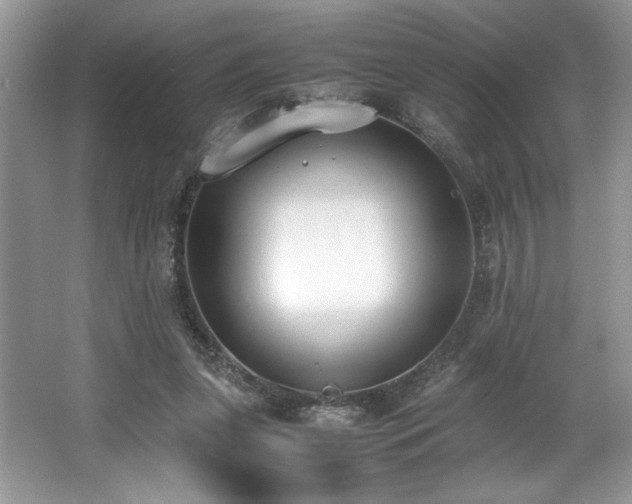 X0000062670255200512211343