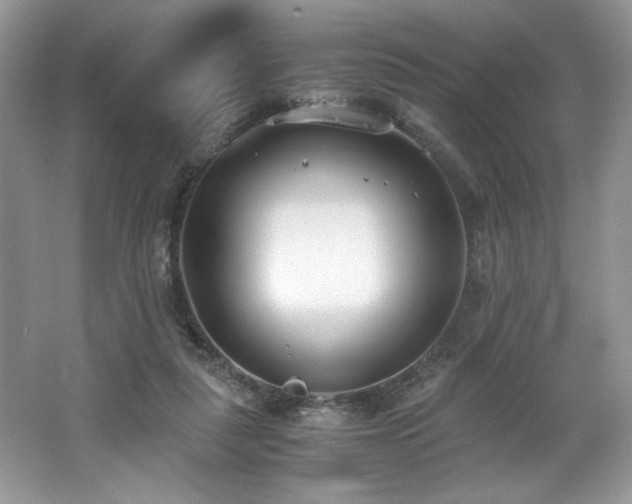 X0000062670259200512211343