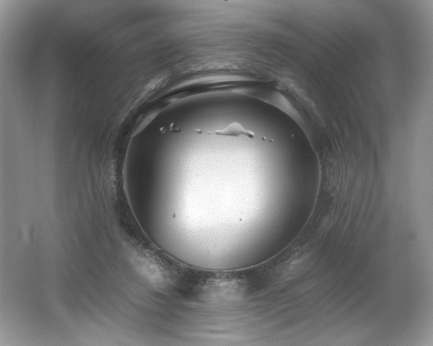 X0000062670260200512211343