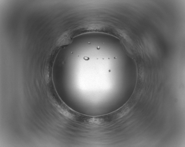 X0000062670261200512211343