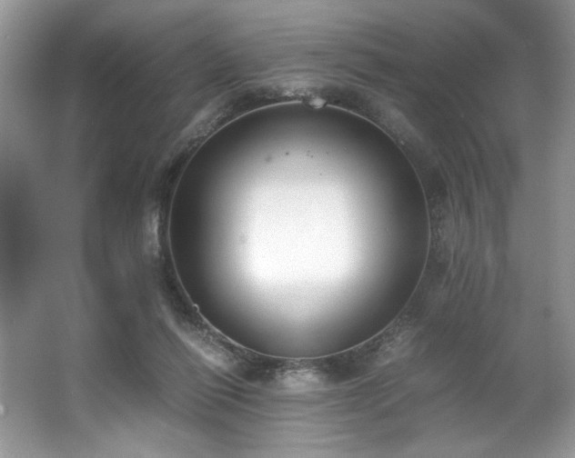 X0000062670262200512211343