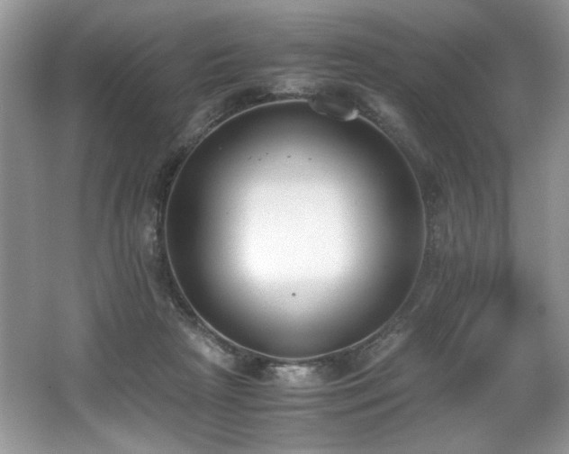 X0000062670265200512211343