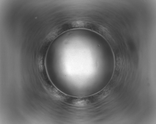 X0000062670267200512211343