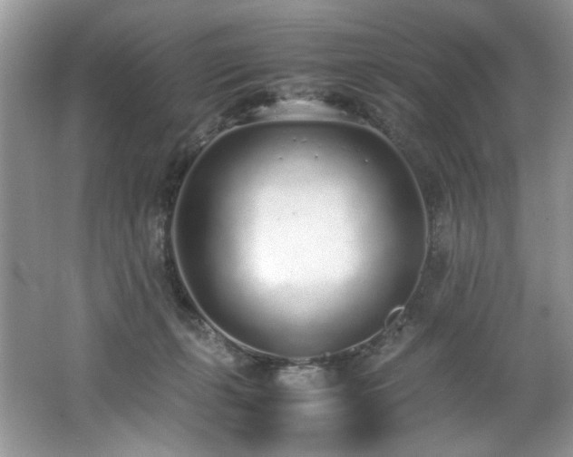 X0000062670271200512211343