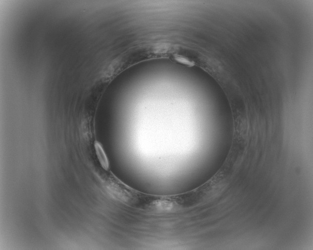 X0000062670272200512211343