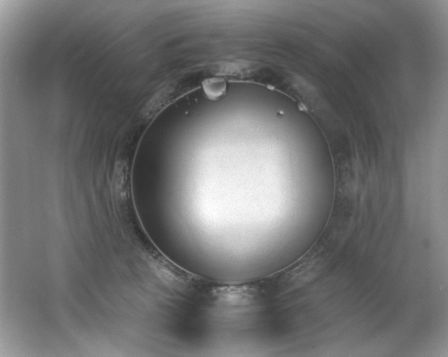 X0000062670273200512211343