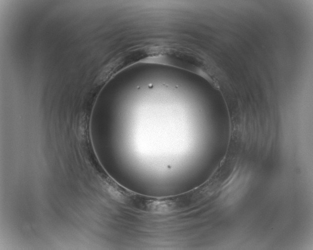 X0000062670277200512211343