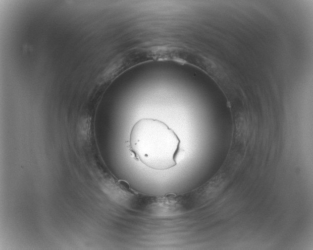 X0000062670278200512211343