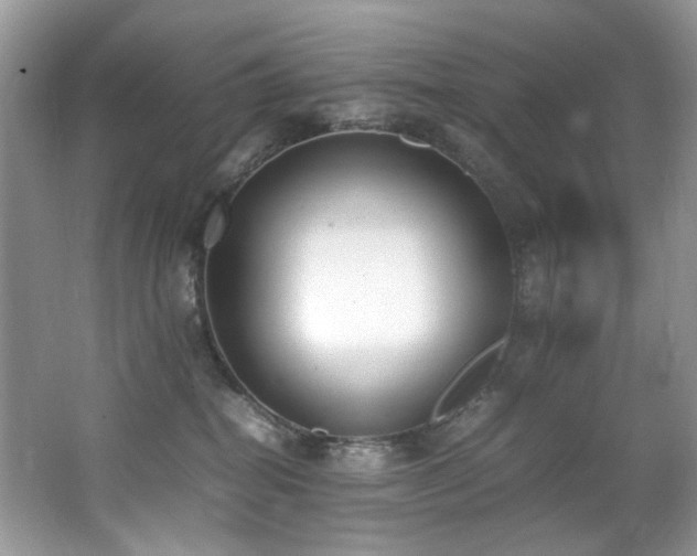 X0000062670282200512211343