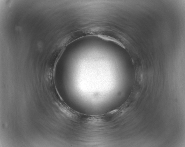 X0000062670284200512211343